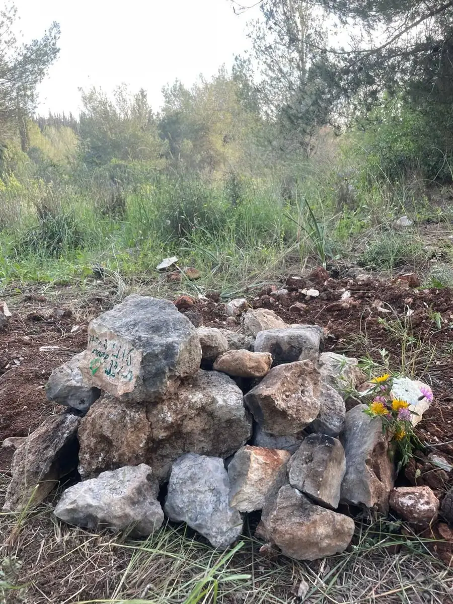 איך לכתוב מכתב פרידה לחיית מחמד בלי לחץ